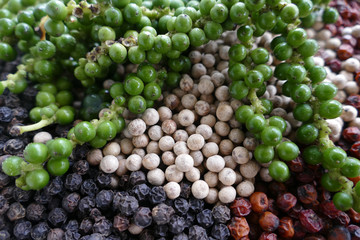 Pfeffer bunt frisch