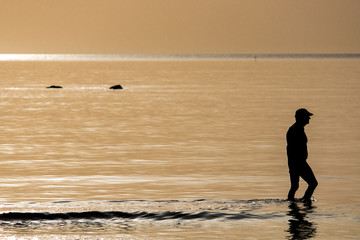 Fototapeta na wymiar Pensiero / Una persona passeggia nel mare vicino alla riva