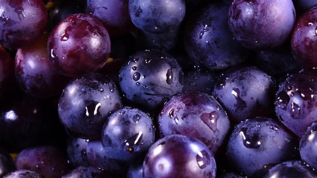 Bunch of ripe red grapes with drops of water rotates in 4K against black background. Extreme closeup view shot.
