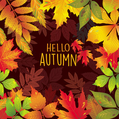 Seasonal frame of autumnal leaves