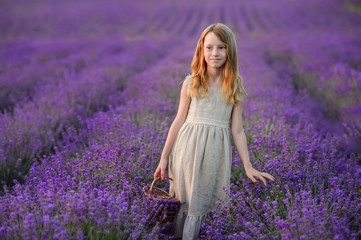Beautiful girl in a field of lavender on sunset. Beautiful girl in amazing dress walk on the field of lavender.