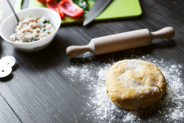 Fototapeta na wymiar Preparation of dough for traditional ravioli