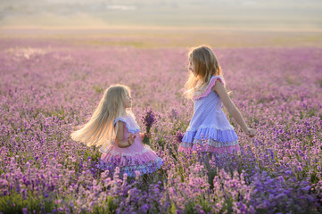 Beautiful girls in a field of lavender on sunset. Beautiful girls in amazing dresses walk on the field of lavender.