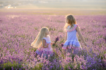 Fototapeta na wymiar Beautiful girls in a field of lavender on sunset. Beautiful girls in amazing dresses walk on the field of lavender.