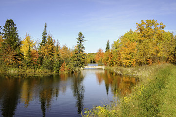 Fototapeta na wymiar autumn trees on lakeshore northern Minnesota 