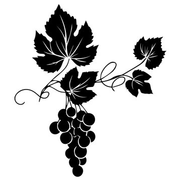 grapes black silhouette