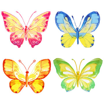 Set of 4 watercolor butterflies on a white background