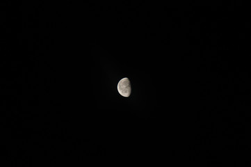 Half moon on the dark night sky