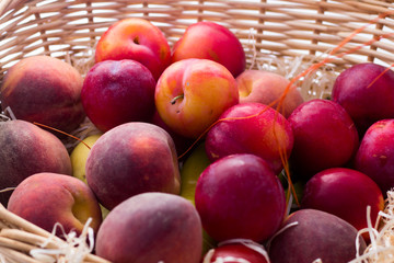 Nahaufnahme vom frischen Obst