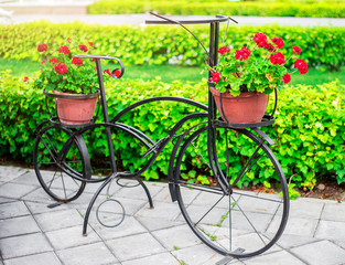 Fototapeta na wymiar Decorative Vintage Model Old Bicycle Equipped Basket Flowers Garden.