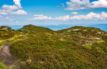 path through grassy hills with rocks
