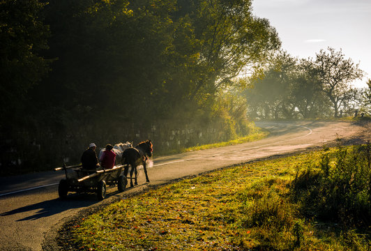horse cart on serpentine on foggy morning