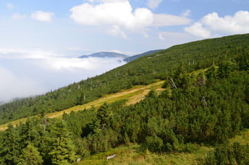 Karkonosze w chmurch latem/Karkonosze Mountains in clouds by summer time, Lower Silesia, Poland