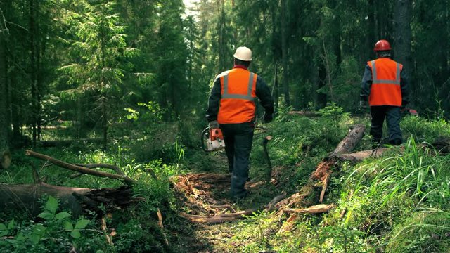 Two woodcutter is walking to the work