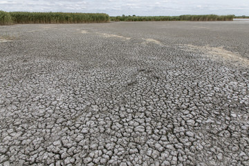 Dürre im Nationalpark Neusiedler See, Seewinkel