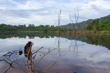 the reflection with dry trees in lake,In the morning blue sky and clouds background.