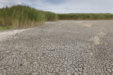 Dürre im Nationalpark Neusiedler See, Seewinkel