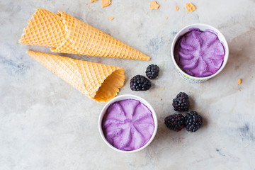 Healthy homemade raw vegan berry blackberry ice cream. Summer delicious dessert. Copy space,top view