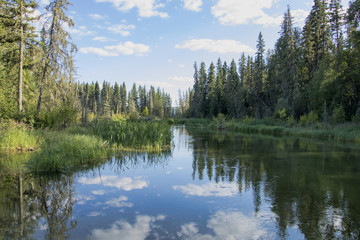 Reflection pond and landscape at the creek joining Kingsmere Lake and Waskesiu Lake in Prince...