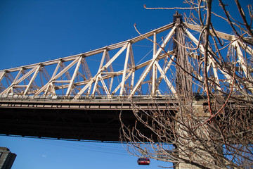 Fototapeta premium Queensboro bridge and tree without leaves