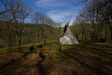 Tipi 