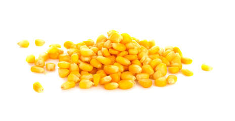 Ripe corn isolated on white background