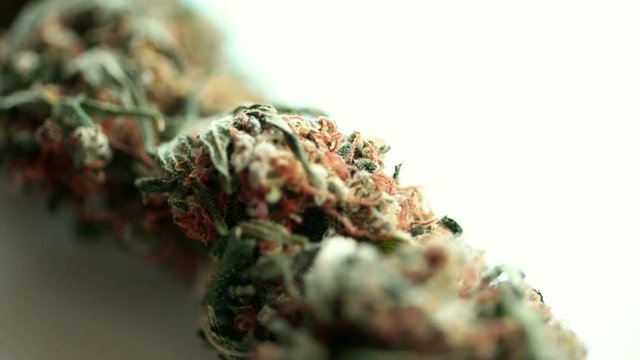 Marijuana bud on rotating base over white background - macro footage