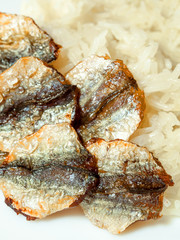 Sticky rice and fried sun-dried fish
