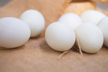 Salted duck egg