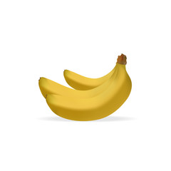 Realistic illustration of bunch of bananas isolated on white background, banana icon, vector illustration 