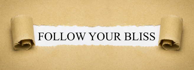 Follow your bliss