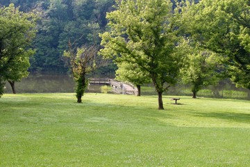 The wood dock at the end of the green grass field.