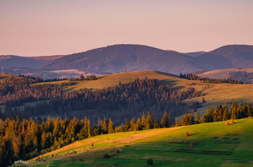 Plakat Background with Ukrainian Carpathian Mountains during the sunset in the Pylypets
