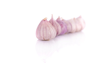 Fresh Single Clove Garlic or pearl garlic or solo garlic, variety of Allium ampeloprasum