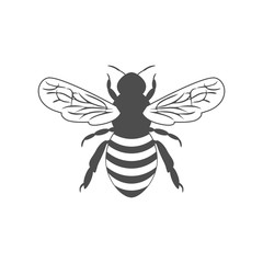 monochrome illustration with bee