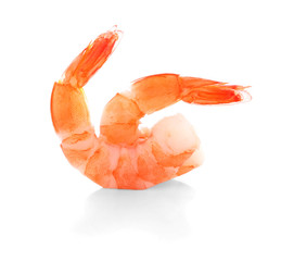 shrimps on a white background