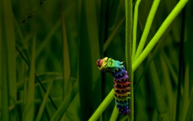 Rainbow Caterpillar 3D model macro