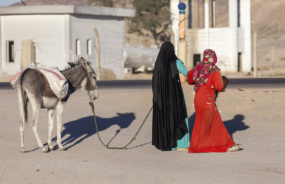 Muslim women wearing hijabs are leading donkey
