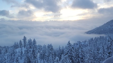 Overlook near Lake Tahoe