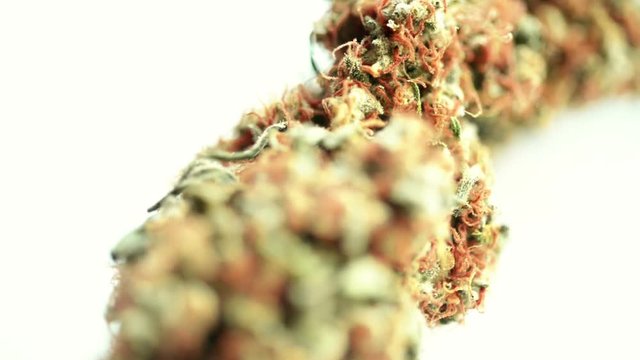 Marijuana bud on rotating base over white background - macro footage