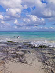Caribbean Sea beach in Playa del Carmen, Mexico