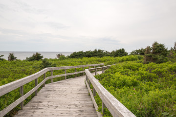 Fototapeta premium The boardwalk to the beach at Robinsons Island on PEI