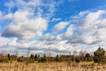 Landscape in early spring