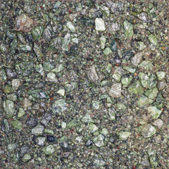 Tile from small green stones, stone pavement