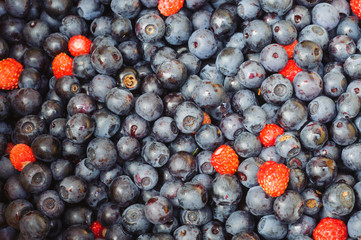 Blueberries and strawberries
