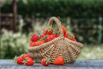 Fototapeta na wymiar Basket of fresh strawberries