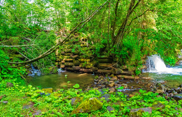 Fototapeta na wymiar Waterfall and river in a summer forest, nature background