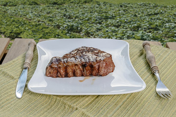 Steak on a plate in the garden