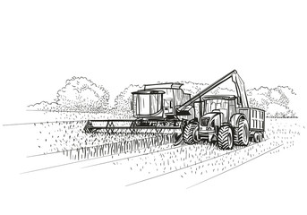 Combine Harvester and Tractor at work on field. Vector.