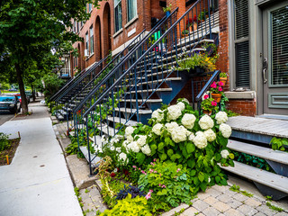 Fototapeta na wymiar Typical Montreal neighborhood street with staircases